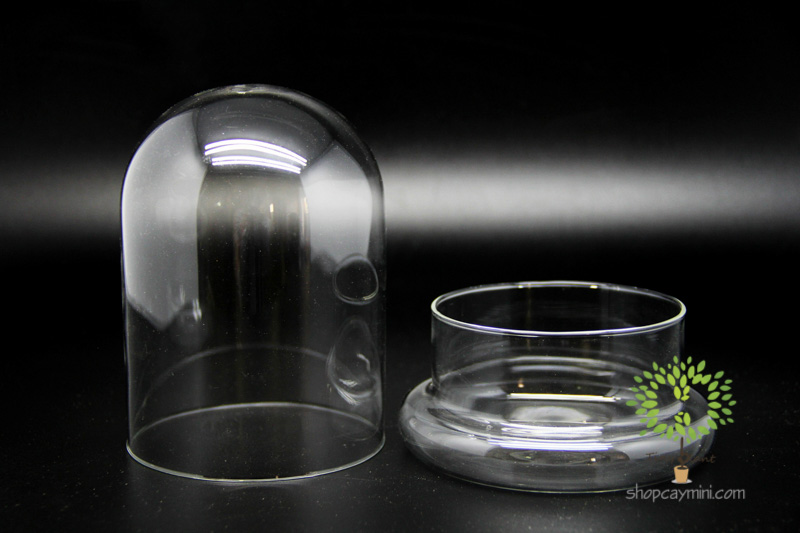 Bình Thủy Tinh Nắp Úp SBT009 Bình Nắp Úp