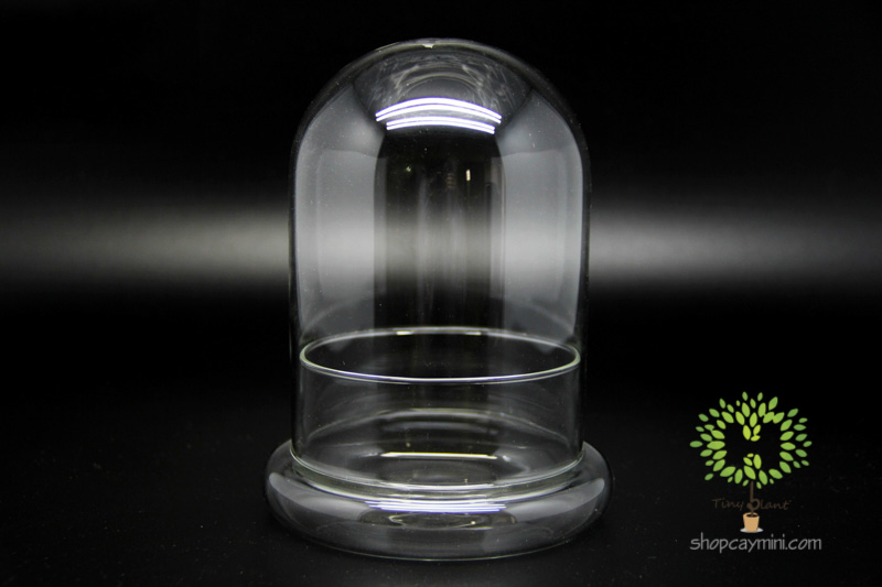 Bình Thủy Tinh Nắp Úp SBT009 Bình Nắp Úp