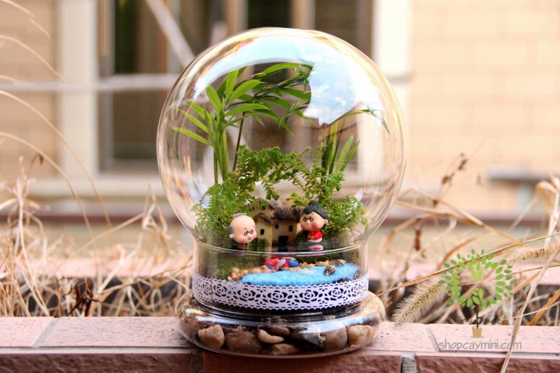 Bình Thủy Tinh Cầu Chụp SMBT010 Bình Cầu Chụp