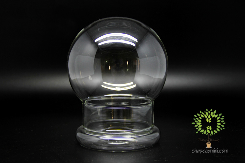 Bình Thủy Tinh Cầu Chụp SMBT010 Bình Cầu Chụp