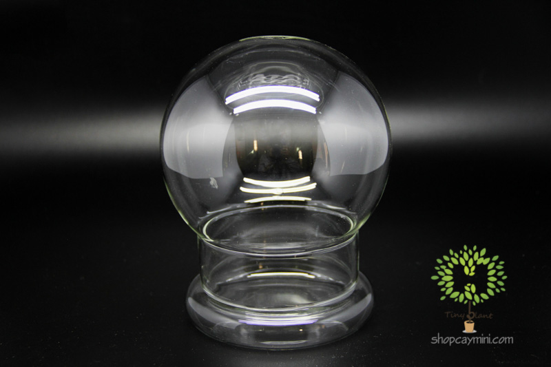 Bình Thủy Tinh Cầu Chụp SMBT010 Bình Cầu Chụp