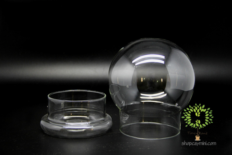 Bình Thủy Tinh Cầu Chụp SMBT010 Bình Cầu Chụp