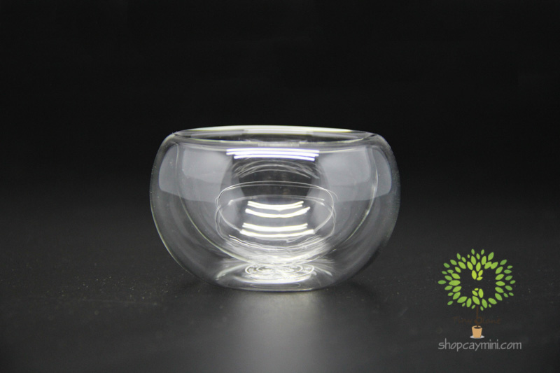 Chậu Thủy Tinh 2 Lớp SBT011 Chậu 2 Lớp