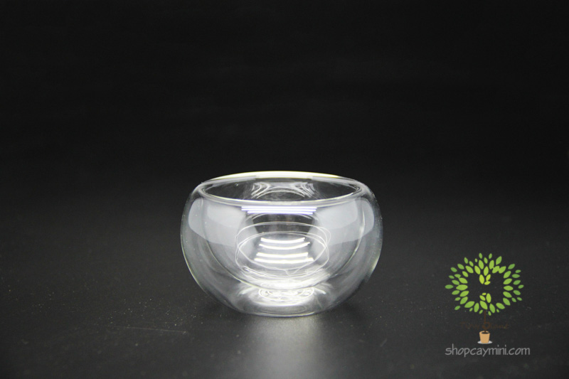 Chậu Thủy Tinh 2 Lớp SBT011 Chậu 2 Lớp