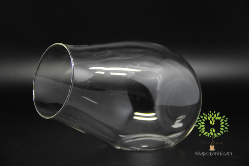 Bình Thủy Tinh Khẩu Pháo SBT012 Bình Khẩu Pháo