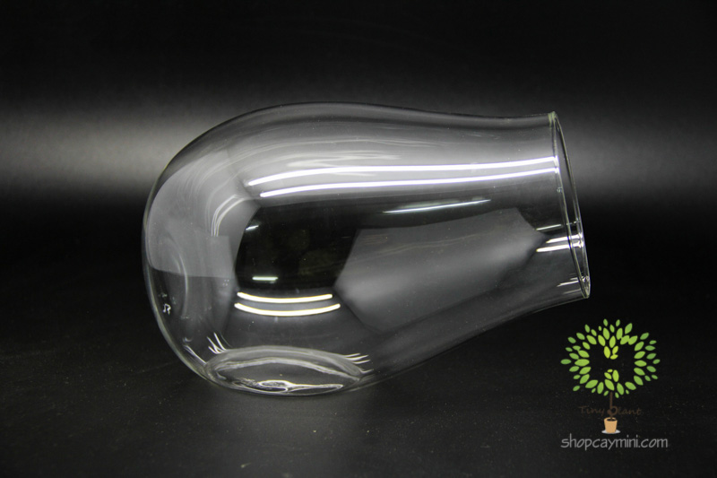 Bình Thủy Tinh Khẩu Pháo SBT012 Bình Khẩu Pháo