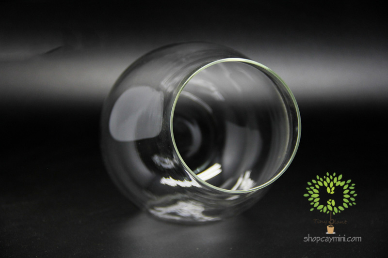 Bình Thủy Tinh Khẩu Pháo SBT012 Bình Khẩu Pháo