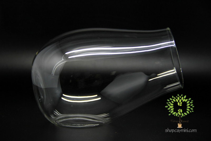 Bình Thủy Tinh Khẩu Pháo SBT012 Bình Khẩu Pháo