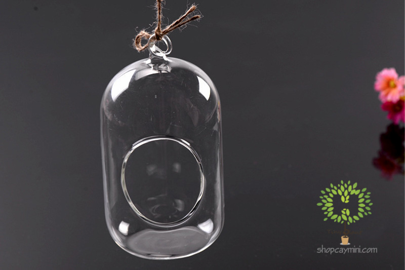 Bình Thủy Tinh Bầu Dục Đứng SBT013 Bầu Dục Đứng