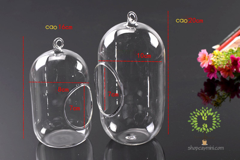 Bình Thủy Tinh Bầu Dục Đứng SBT013 Bầu Dục Đứng