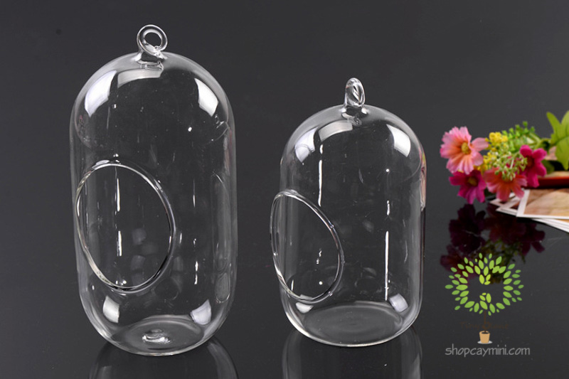 Bình Thủy Tinh Bầu Dục Đứng SBT013 Bầu Dục Đứng