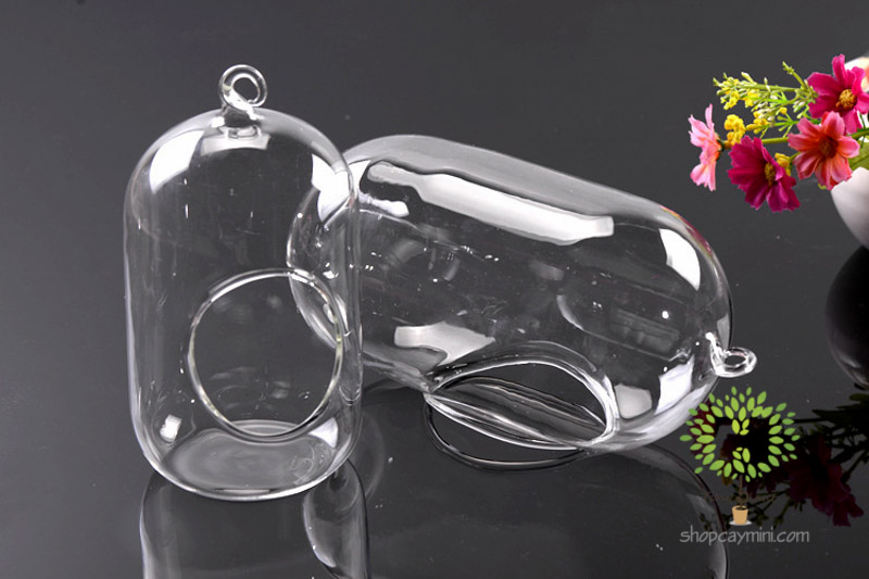 Bình Thủy Tinh Bầu Dục Đứng SBT013 Bầu Dục Đứng