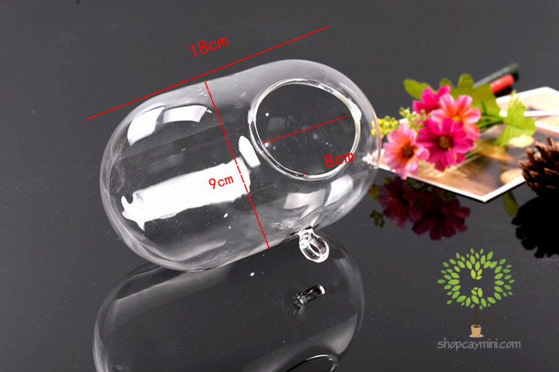 Bình Thủy Tinh Bầu Dục Ngang SBT014 Bầu Dục Ngang