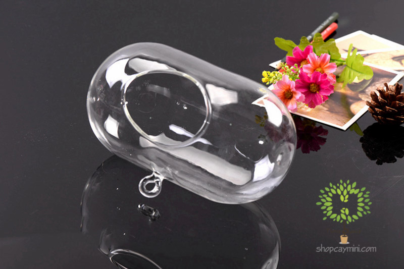 Bình Thủy Tinh Bầu Dục Ngang SBT014 Bầu Dục Ngang