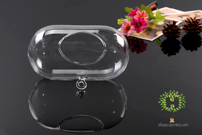 Bình Thủy Tinh Bầu Dục Ngang SBT014 Bầu Dục Ngang