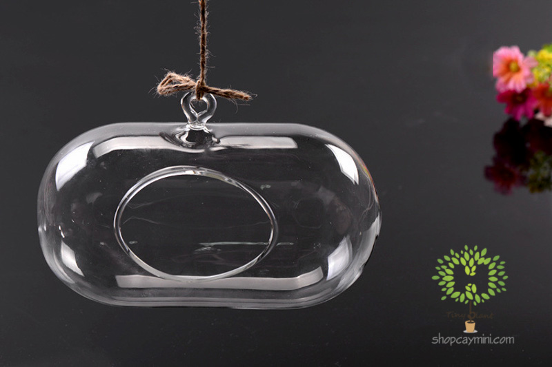 Bình Thủy Tinh Bầu Dục Ngang SBT014 Bầu Dục Ngang