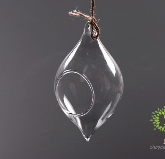 Bình Thủy Tinh Giọt Nước SBT015
