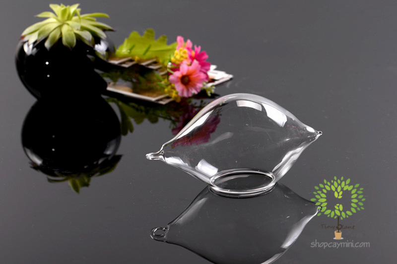 Bình Thủy Tinh Giọt Nước SBT015 Bình Giọt Nước