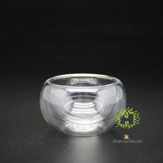 Chậu Thủy Tinh 2 Lớp SMBT011