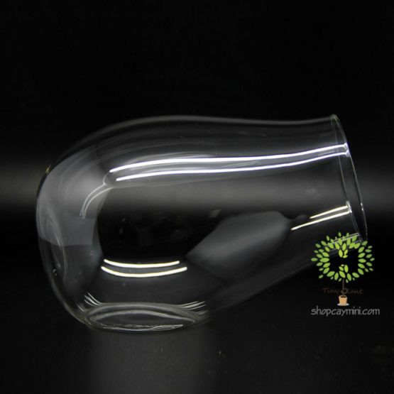 Bình Thủy Tinh Khẩu Pháo Cao Cấp SMBT012