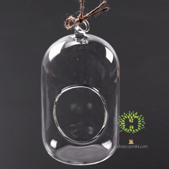 Bình Thủy Tinh Bầu Dục Đứng SMBT013