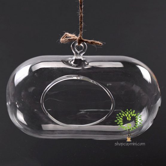 Bình Thủy Tinh Bầu Dục Ngang SBT014