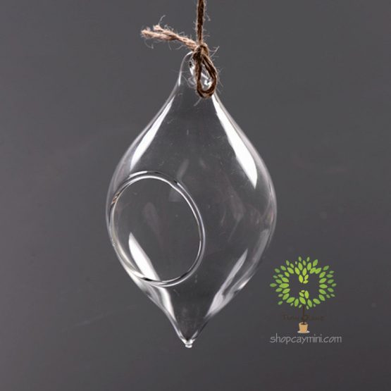 Bình Thủy Tinh Giọt Nước SBT015