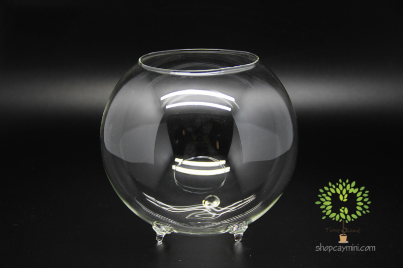 Bình Thủy Tinh Chum 3 Chân - SBT008 Chum Ba Chân