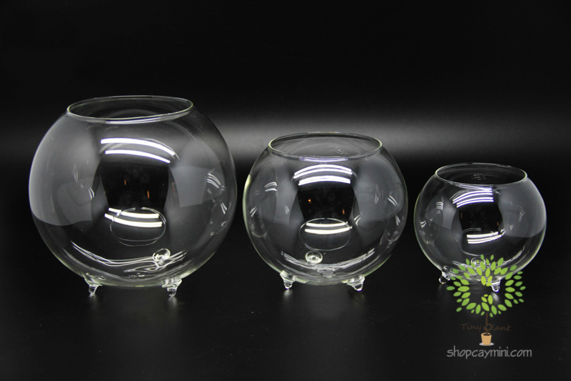 Bình Thủy Tinh Chum 3 Chân - SBT008 Chum Ba Chân