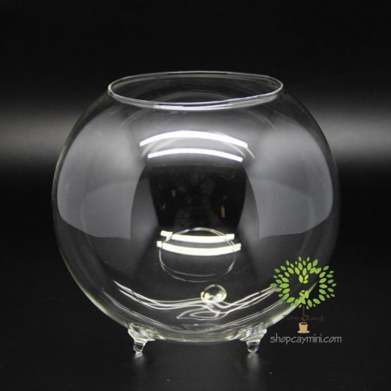 Chum Thủy Tinh 3 Chân SMBT008