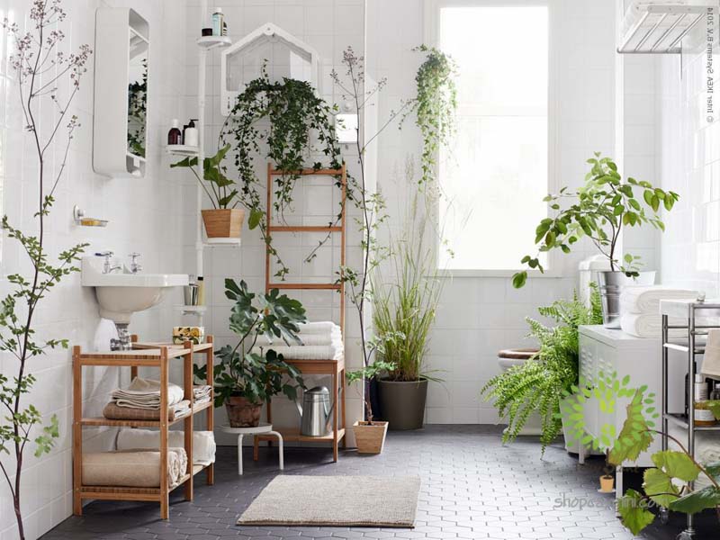 Cây Cảnh Mini Trong Nhà - Tiny Plant Kinh nghiệm lựa chọn chậu trồng cây cảnh mini trong nhà